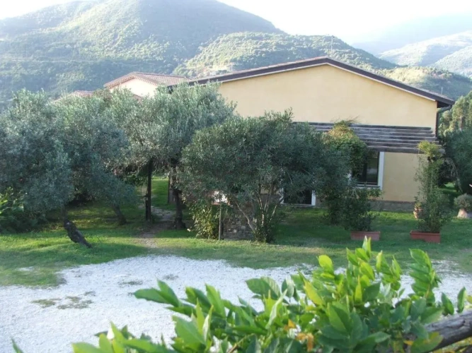 Standard Double room with garden view