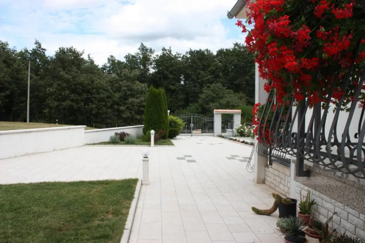Apartment Borna