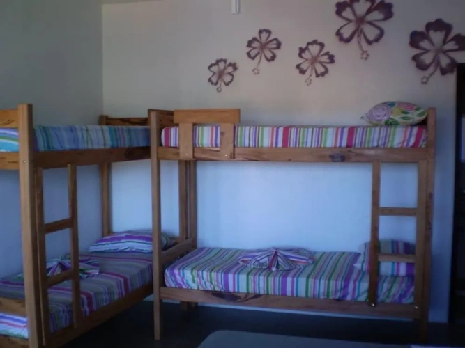 Bed in Dorm