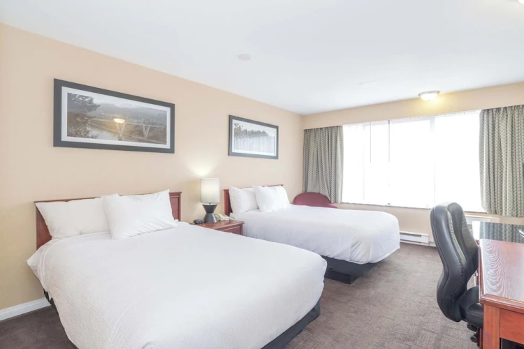 Standard Suite