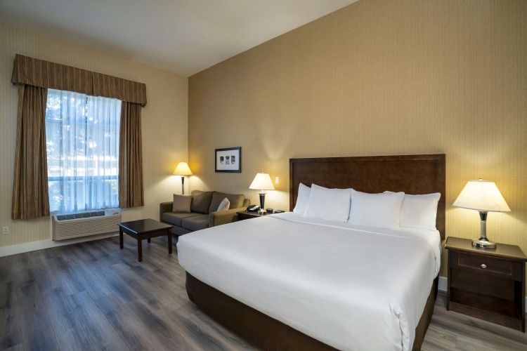 Comfort Inn & Suites Surrey Hotel photo 6