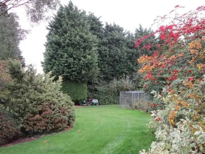 Standard Double room with garden view