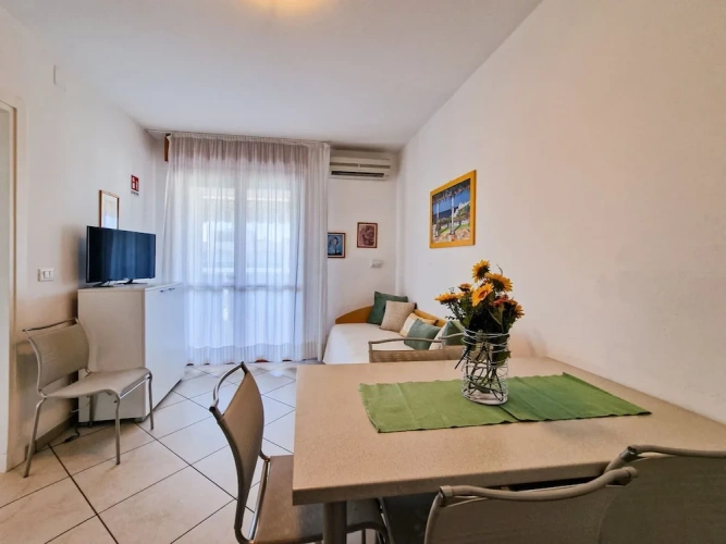 1 Bedroom Apartment with balcony and with ocean view