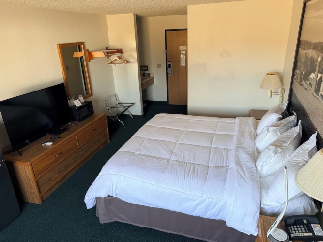 Comfort Single room