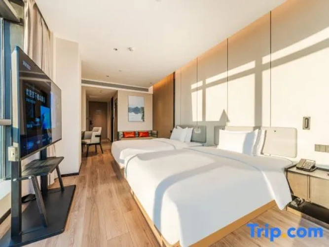 Deluxe Twin room with city view