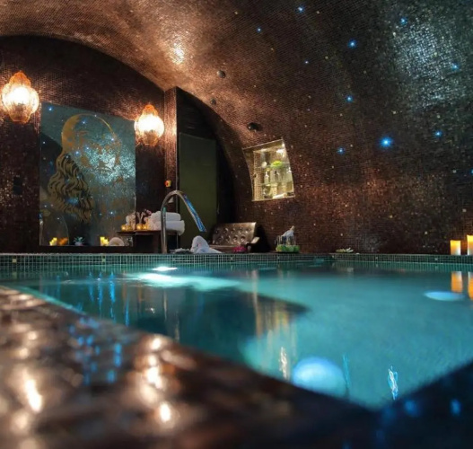 Hotel Da Vinci And Spa photo 16
