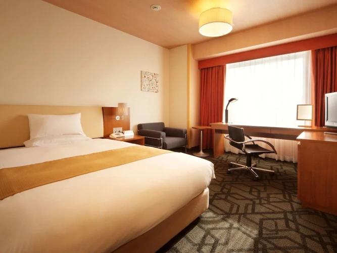 Deluxe Single room with city view