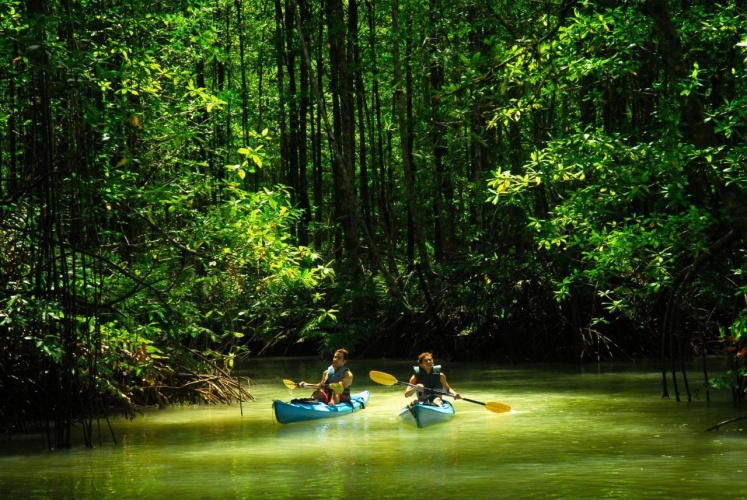 Playa Nicuesa Rainforest Lodge photo 13