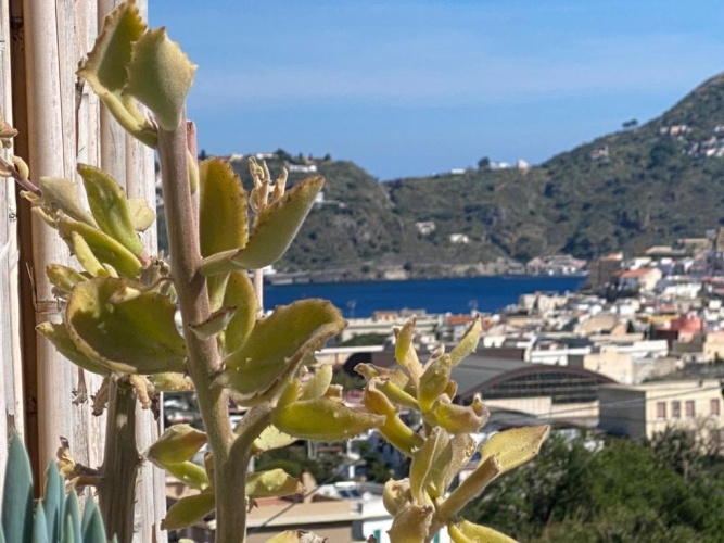 Deluxe Double room with balcony and with sea view