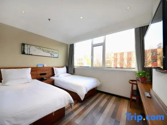 Standard Twin room with city view