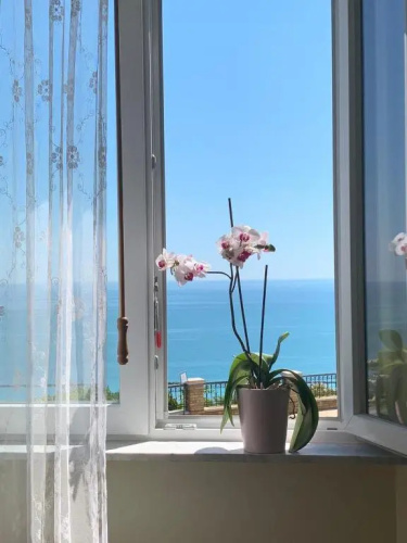 La Casa Di Torre Di Palme