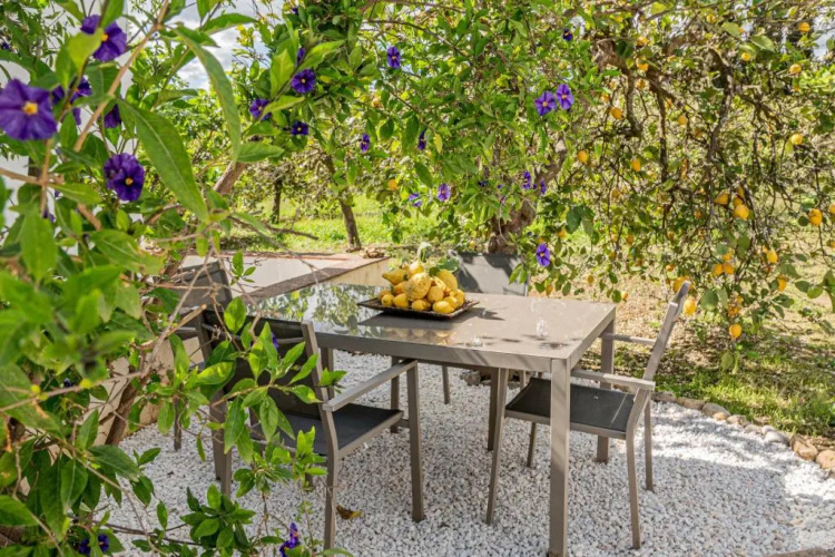 Finca El Limonar