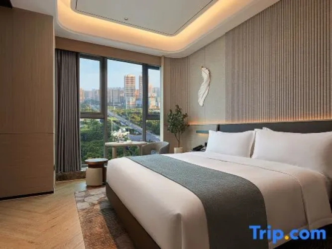 1 Bedroom Suite