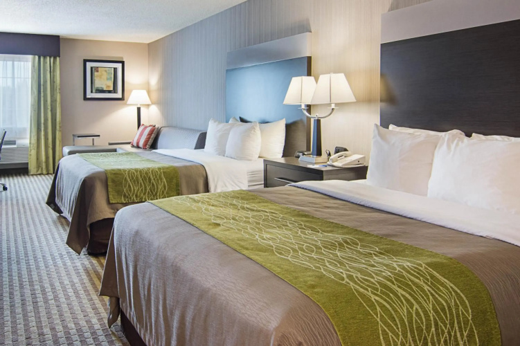 Comfort Inn Camden