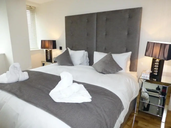 1 Bedroom Superior Apartment