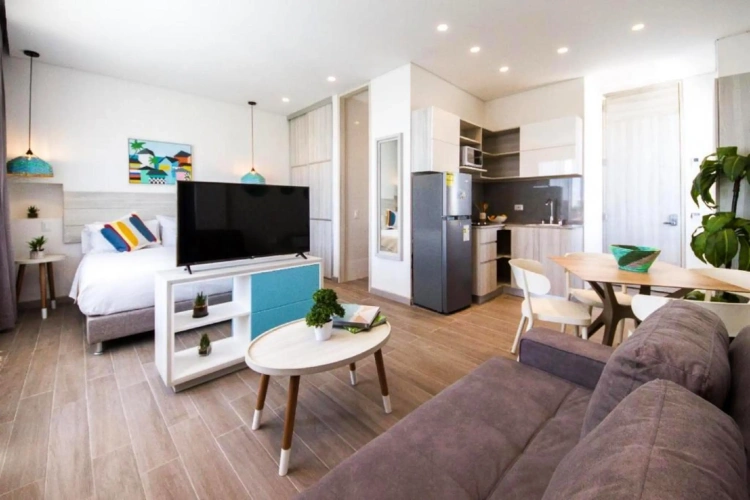 1 Bedroom Apartment