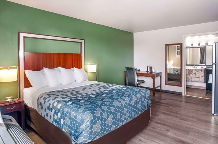 1 Bedroom Suite