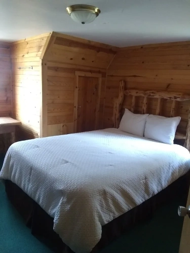 Bed in Dorm