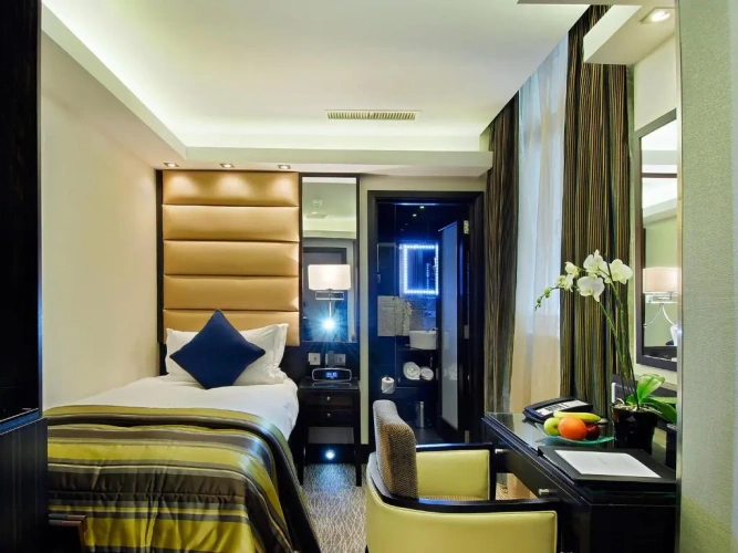 Deluxe Single room