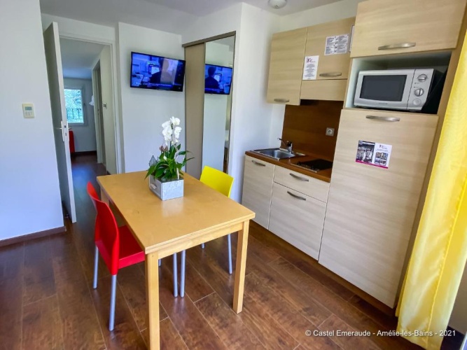 Double Studio with balcony and with river view