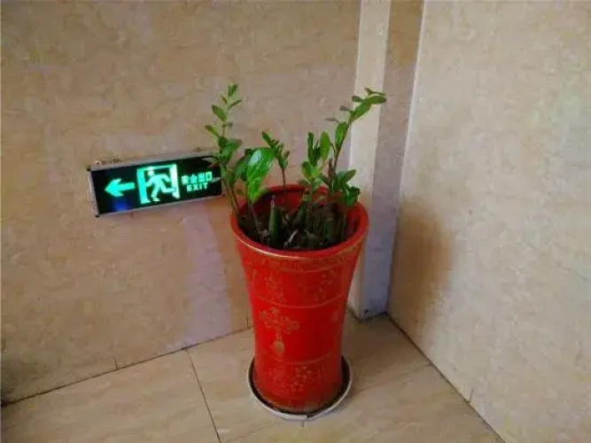 Korla Kaicheng Hotel