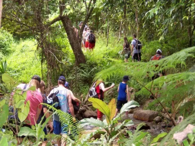 Nalesutale Village Lodges