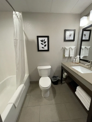 1 Bedroom Suite