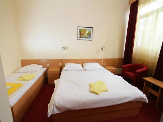 Standard Triple room