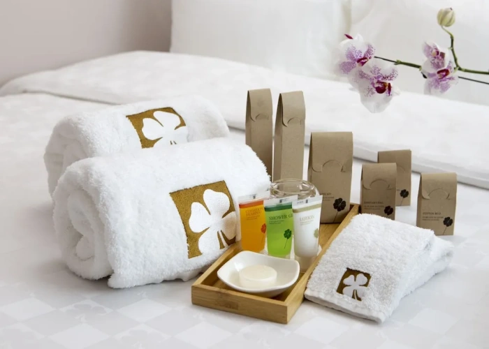 Superior Single room