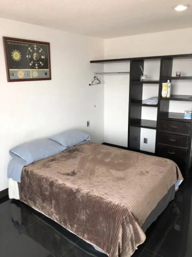 Penthouse Polanco