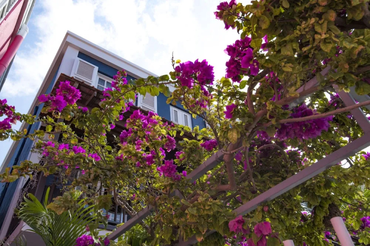 PM78 Boutique Apartments