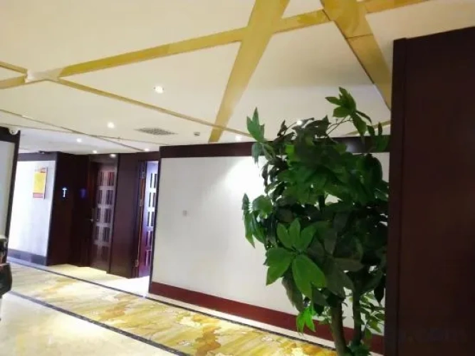 Hotel rooms