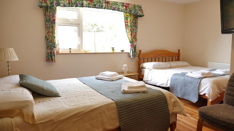 Standard Double room with view