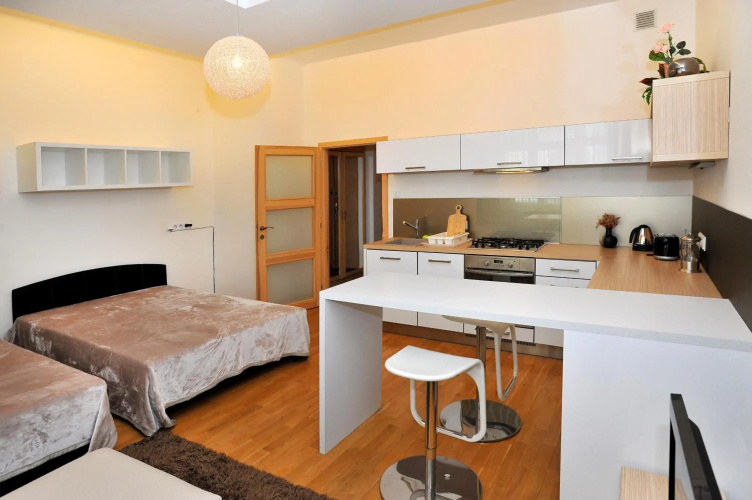 Apartment Elišky Krásnohorské