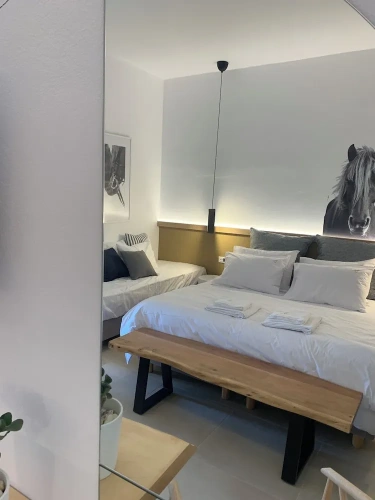 Superior Double room with land view