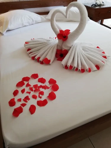 Standard Single room with balcony