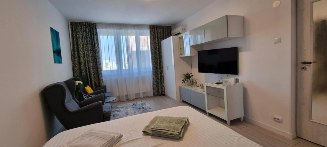 Elisabeta Studio Apartment