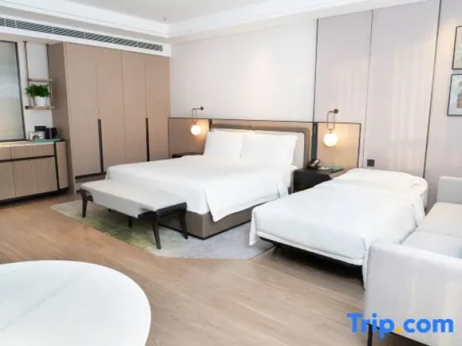 Deluxe Family room