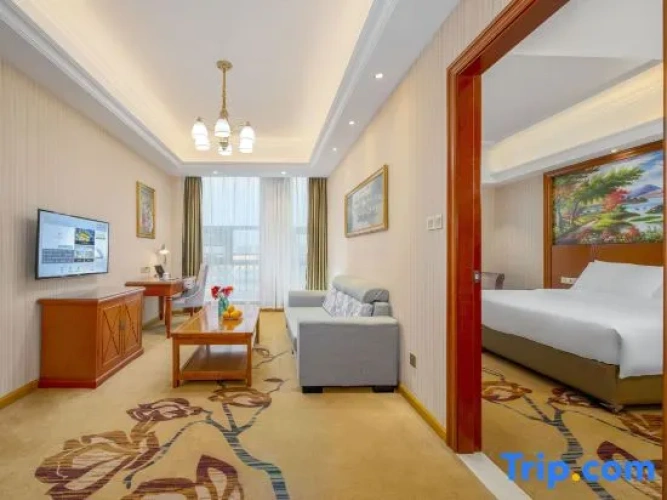 Deluxe Single Suite
