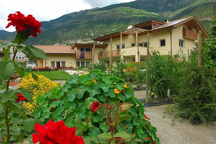 Apartment in Schlanders With Garden