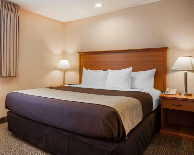 Comfort Inn photo 6
