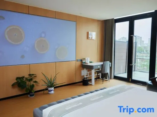 Standard Double room with lake view