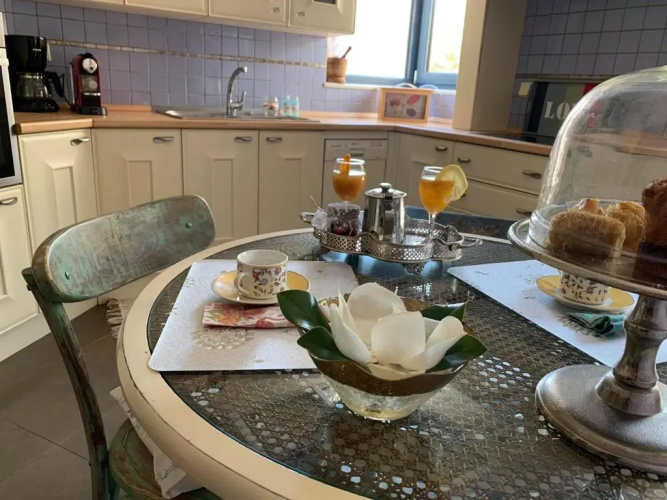 Cactus Suite