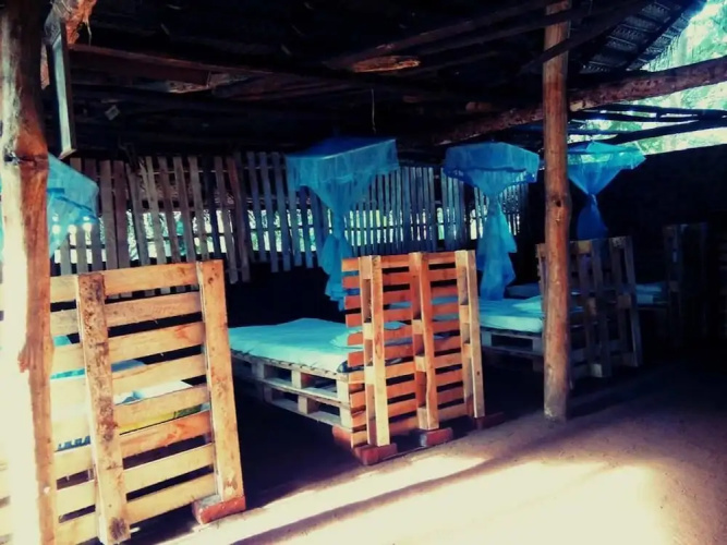Yoho Mango Tree Home Stay & Hostel