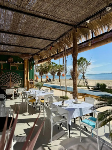 Hotel Saly