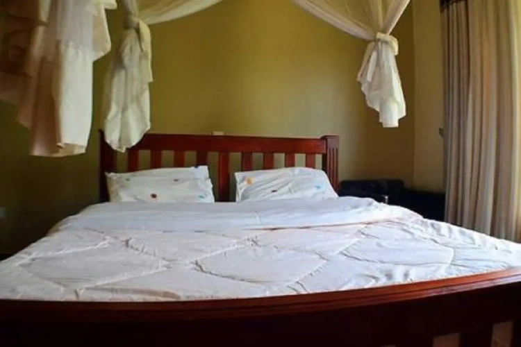 2 Bedrooms Standard Apartment