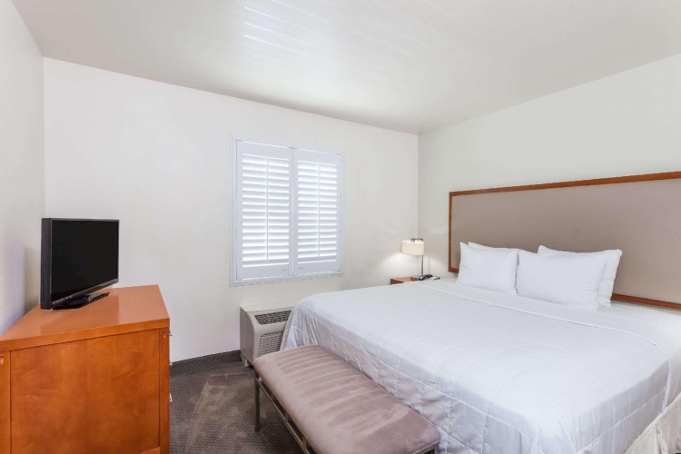 1 Bedroom Double Suite