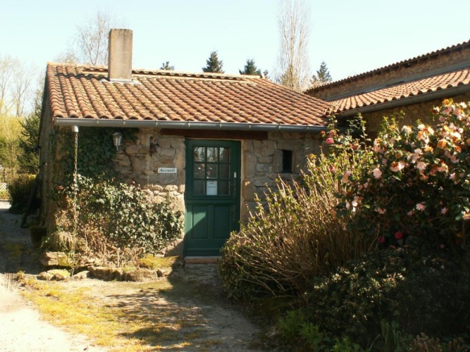 Standard Studio