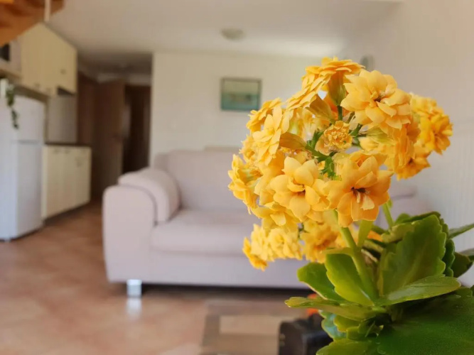 Apartments Skocic