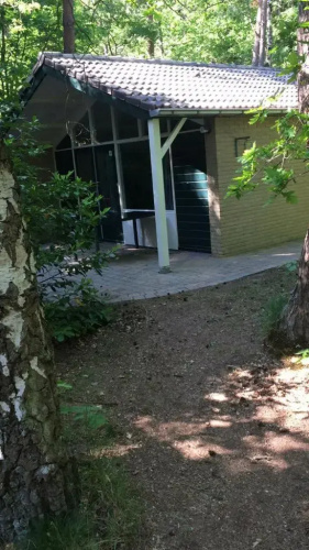 Roompot Vakanties Bospark de Schaapskooi